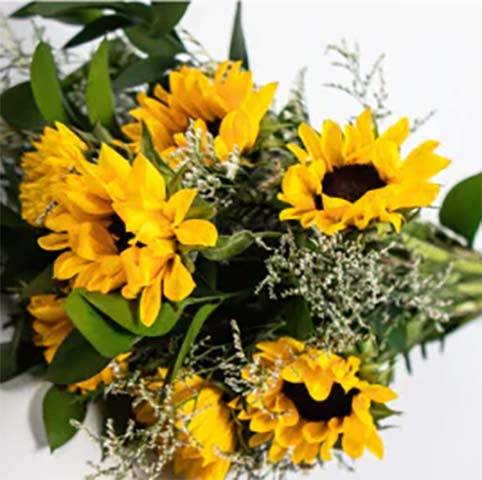 bright-beginnings-image-01