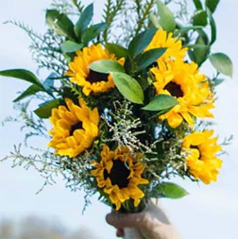 bright-beginnings-image-02