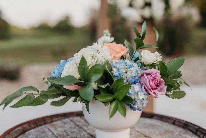 21petalsaugust2024-38