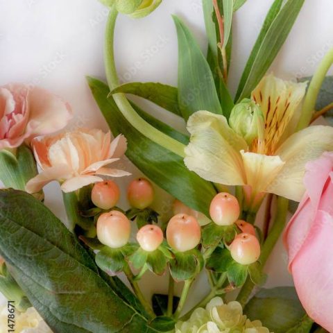 Hypericum Berry - Peach