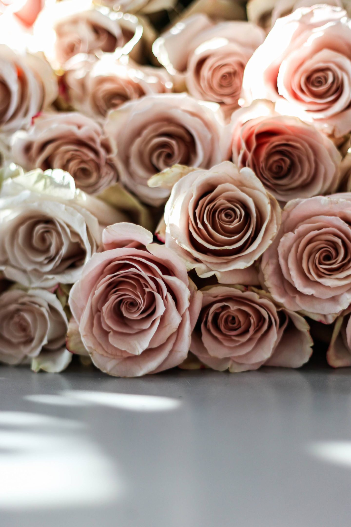 Quicksand Rose - 50cm | 21 Petals DIY Flower Co.