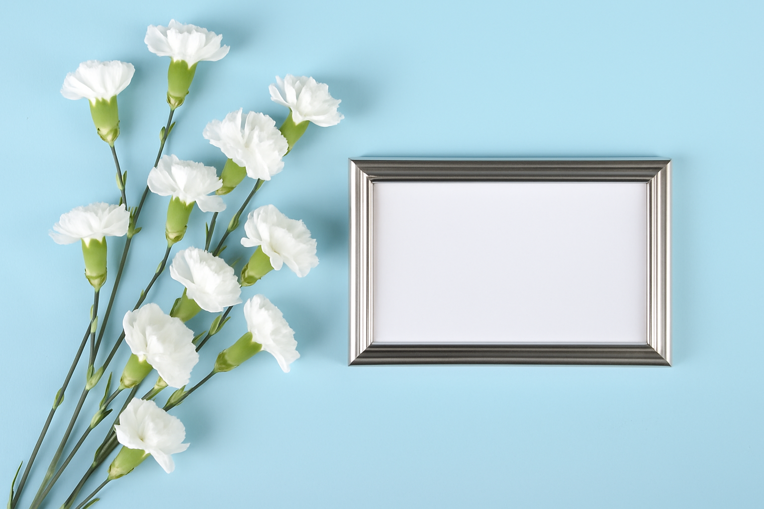 White Mini Carnations - Image 2